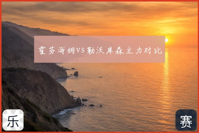 霍芬海姆vs勒沃库森主力对比